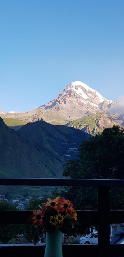 Гостевой дом Hilltop Kazbegi Экстерьер фото