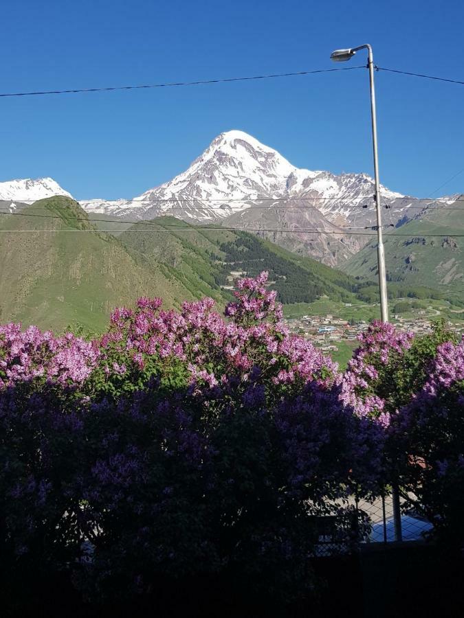 Гостевой дом Hilltop Kazbegi Экстерьер фото