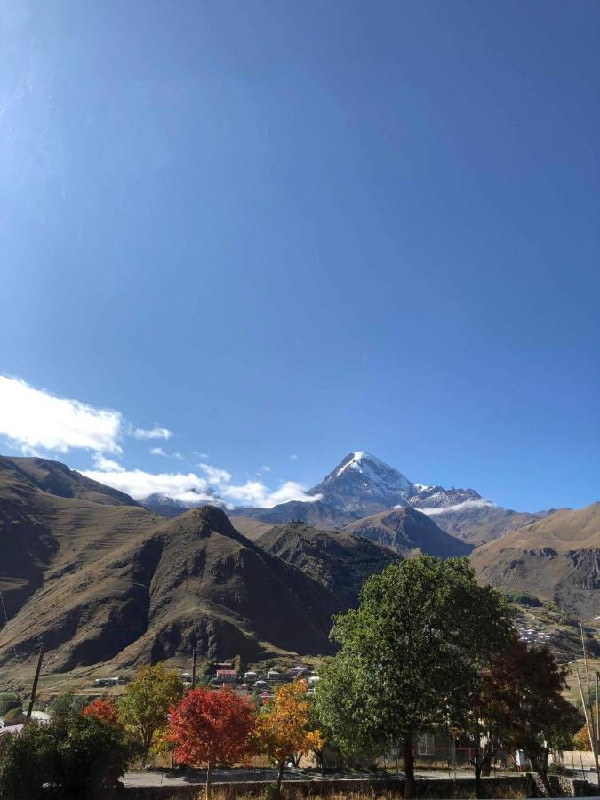 Гостевой дом Hilltop Kazbegi Экстерьер фото